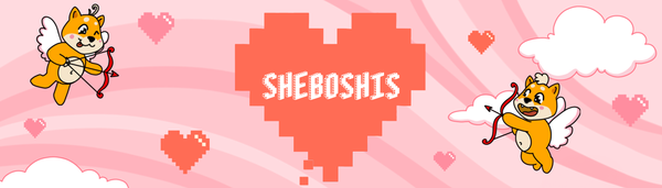Dirigiéndose a nuestro lanzamiento: Una actualización del Escuadrón Sheboshi